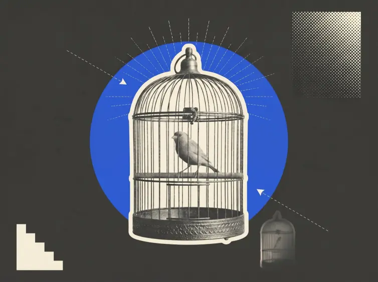canary in a bird cage.